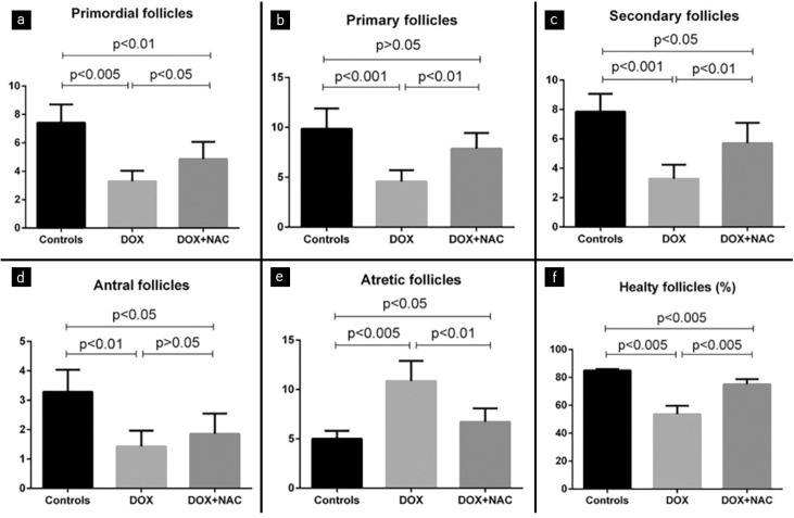 Protective effect of N-acetylcysteine in doxorubicin-induced primary ovarian failure in female rats.