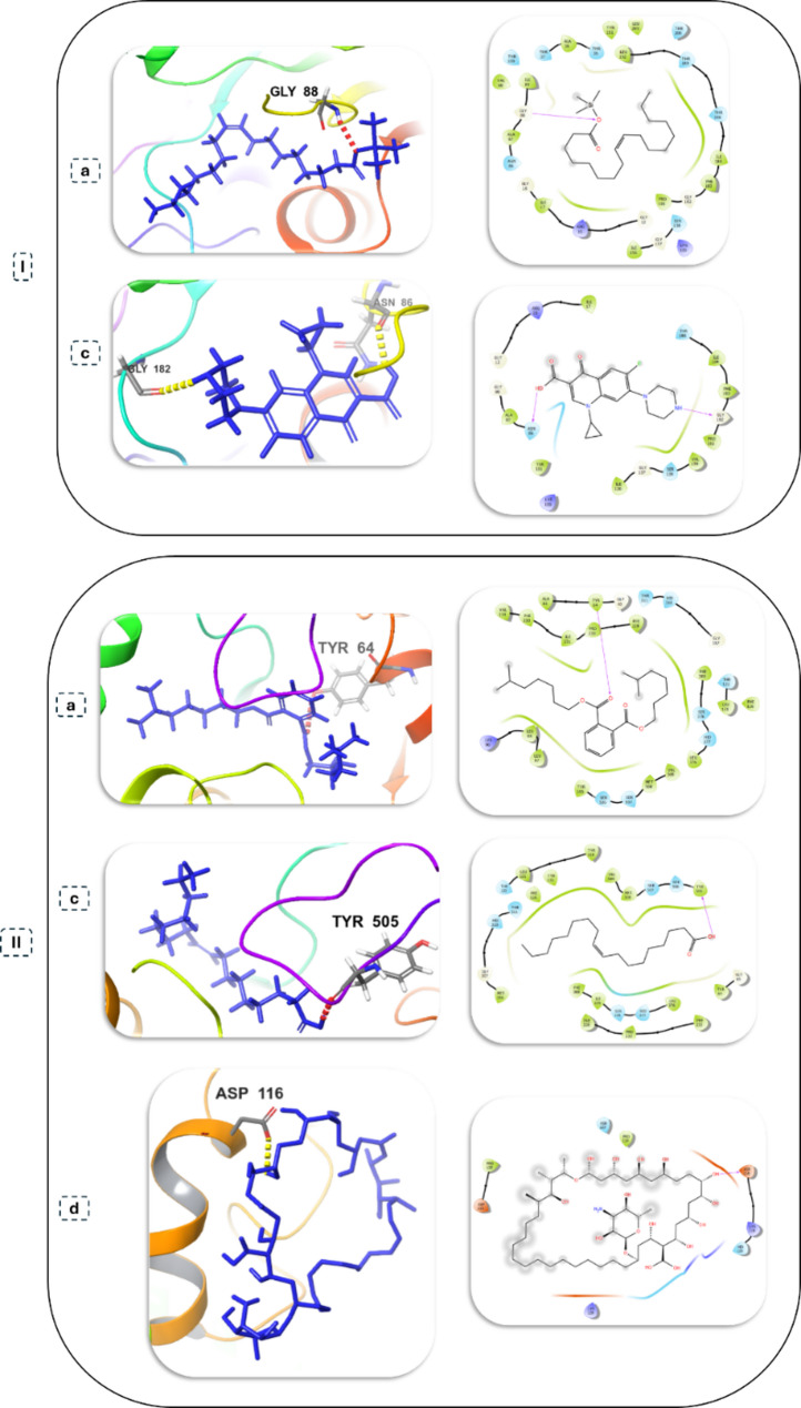 Epigenetic modulation of Ceratorhiza hydrophila by 5-azacytidine enhances antifungal metabolite production: insights from antimicrobial, metabolic, genomic and computational analyses.