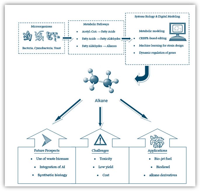 Recent trends in microbial production of alkanes.