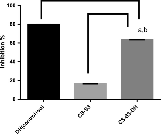 Functionalized nanoparticles based on β-chitosan and styrene copolymer derivative for donepezil delivery.