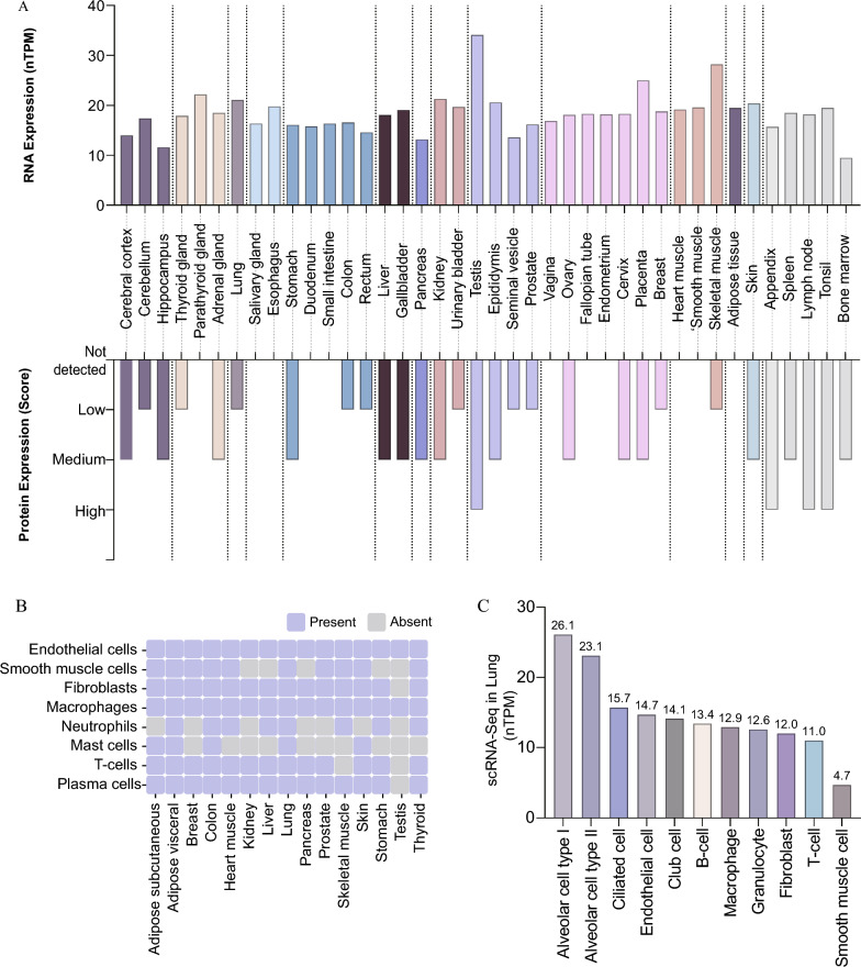 Implicates of PIP5K1α in asthma-related biological processes: insights into mechanisms and therapeutic potential.
