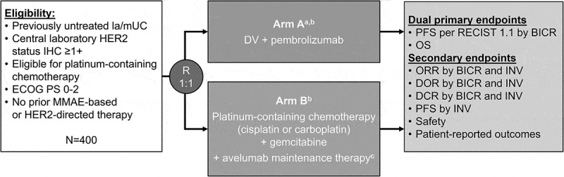 SGNDV-001: disitamab vedotin with pembrolizumab in HER2-expressing locally advanced or metastatic urothelial carcinoma.