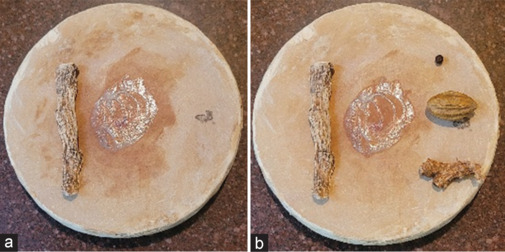 Reporting negative Ames test results for Indian Acorus calamus L., rhizome, extracts, and beta asarone.