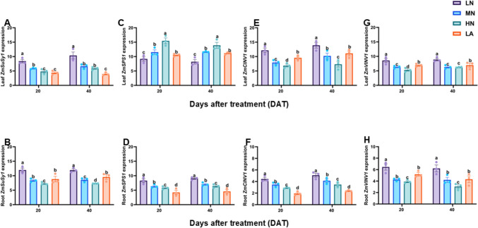 Nitrogen deficiency impacts growth and modulates carbon metabolism in maize.