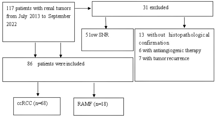 Diffusion kurtosis versus diffusion-weighted magnetic resonance imaging in differentiating clear cell renal cell carcinoma and renal angiomyolipoma with minimal fat: a comparative study.
