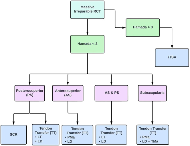 Exploring superior capsular reconstruction and tendon transfers for massive irreparable posterosuperior rotator cuff tears.