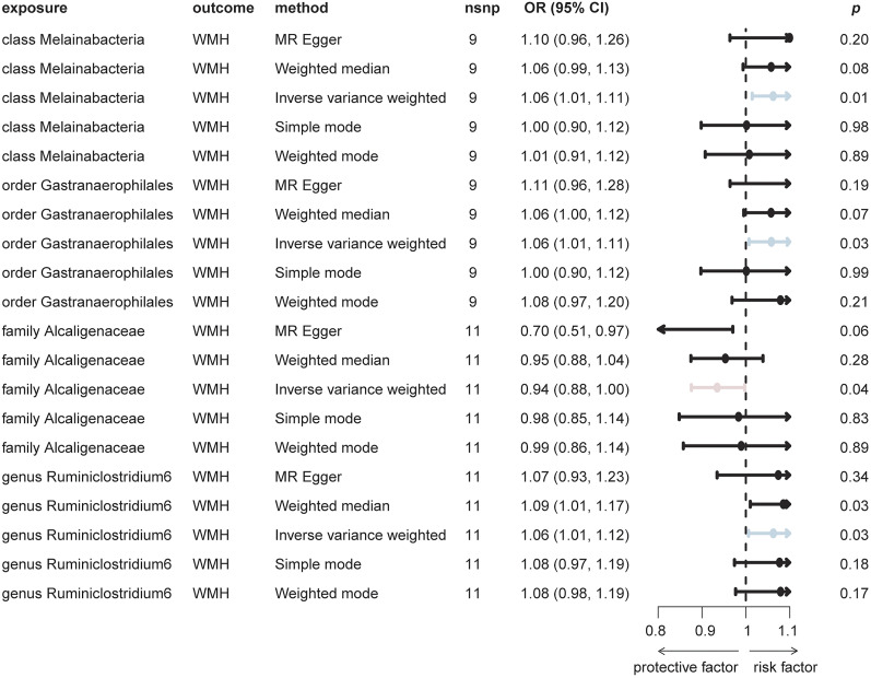 Gut Microbiota and White Matter Integrity: A Two-Sample Mendelian Randomization Analysis.