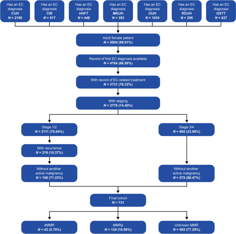 A Real-World Retrospective Observational Study of Patients with Advanced/Recurrent Endometrial Cancer Across England.