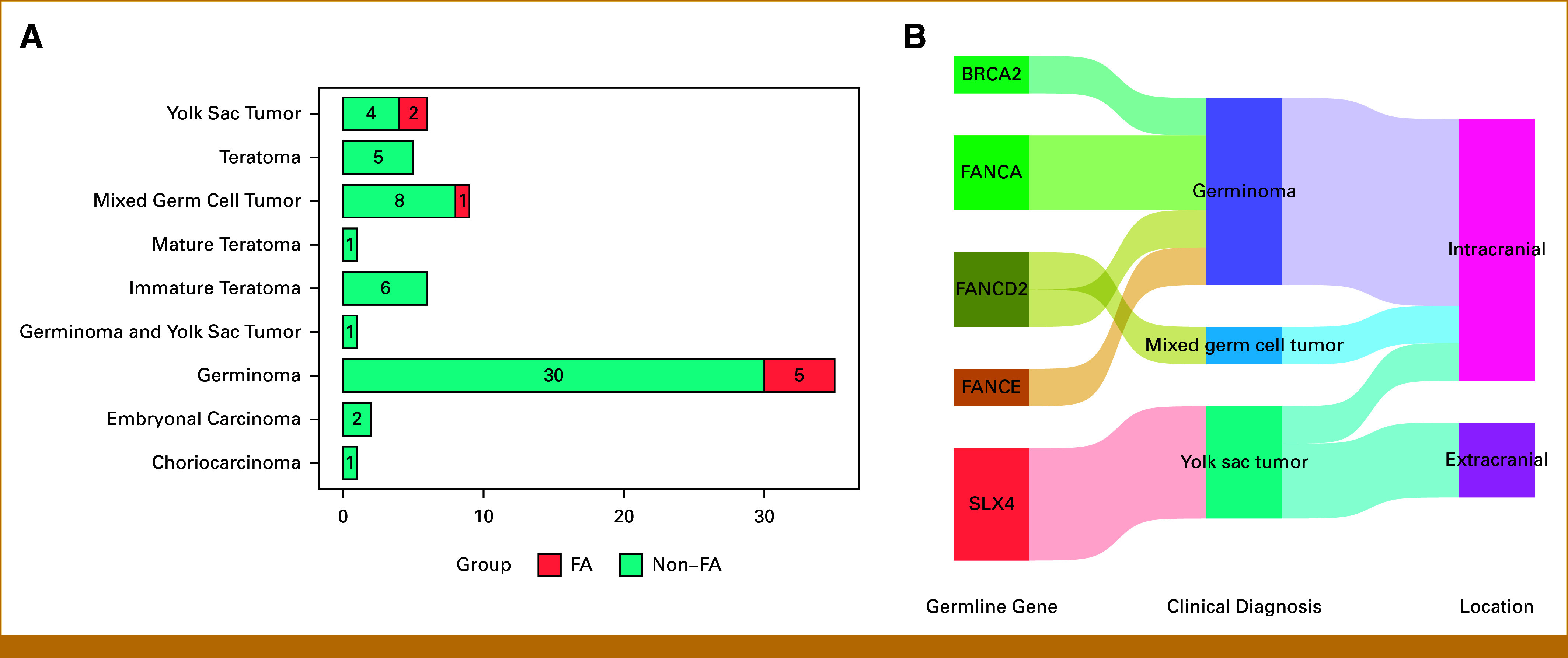 Heterozygous Germline Fanconi Anemia-Related Gene Mutations Increase Susceptibility to Germ Cell Tumors.