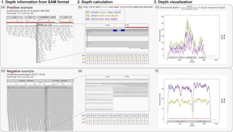 DeepMobilome: predicting mobile genetic elements using sequencing reads of microbiomes.