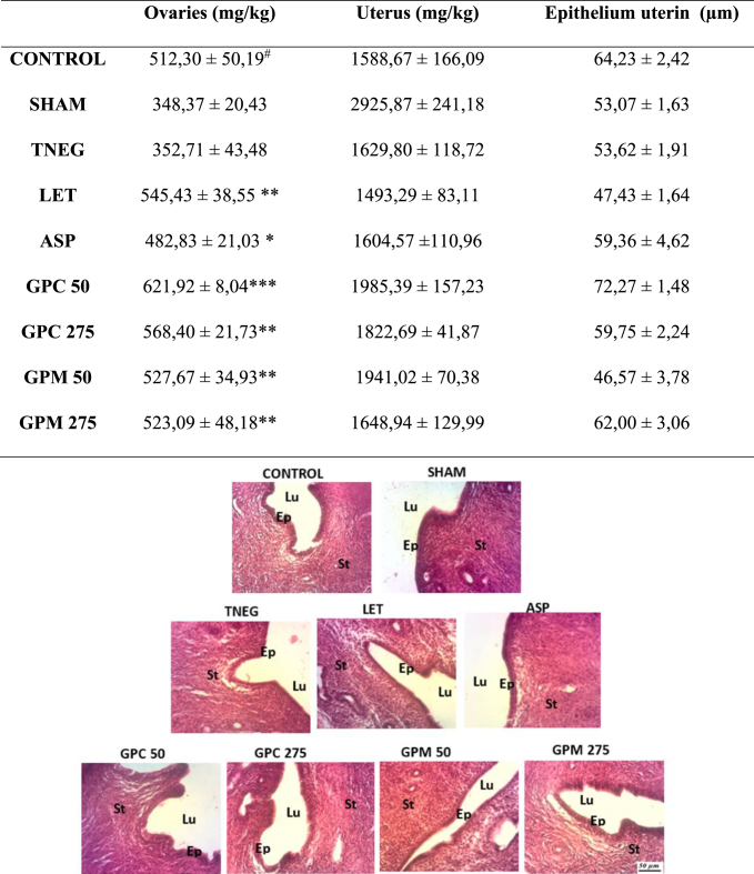 Graptophyllum pictum (Acanthaceae) relieves some hallmarks of endometriosis in an experimental model in Wistar rats.