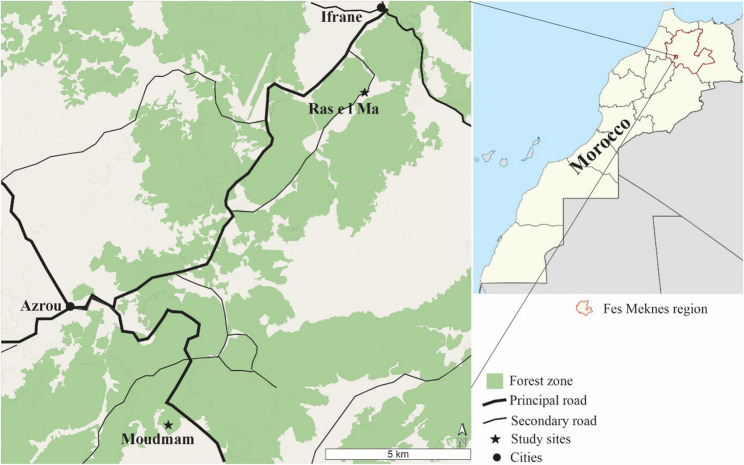 The associations between floral traits and pollinator groups in two Mediterranean mountainous plant communities in the Middle Atlas of Morocco.