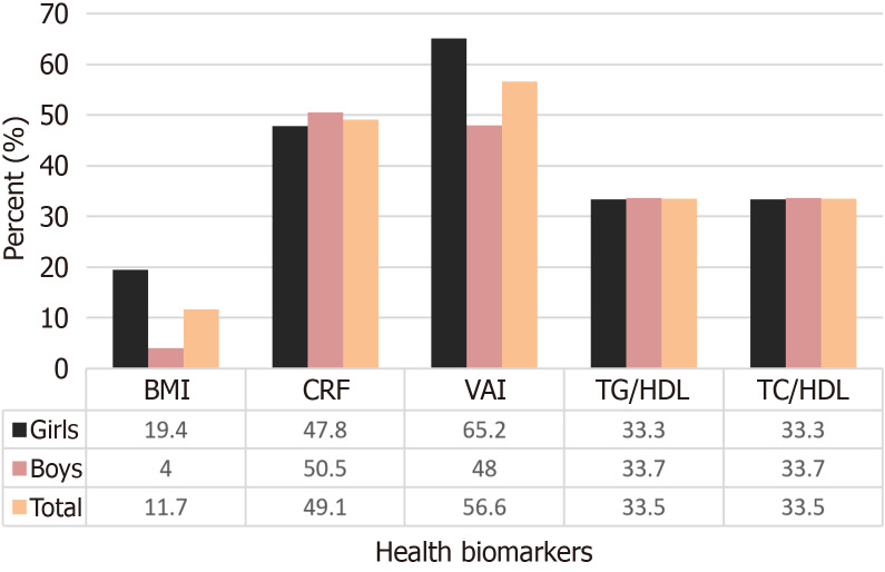 Cross-sectional association of fitness, fatness, and dyslipidemia with metabolic syndrome in youth.