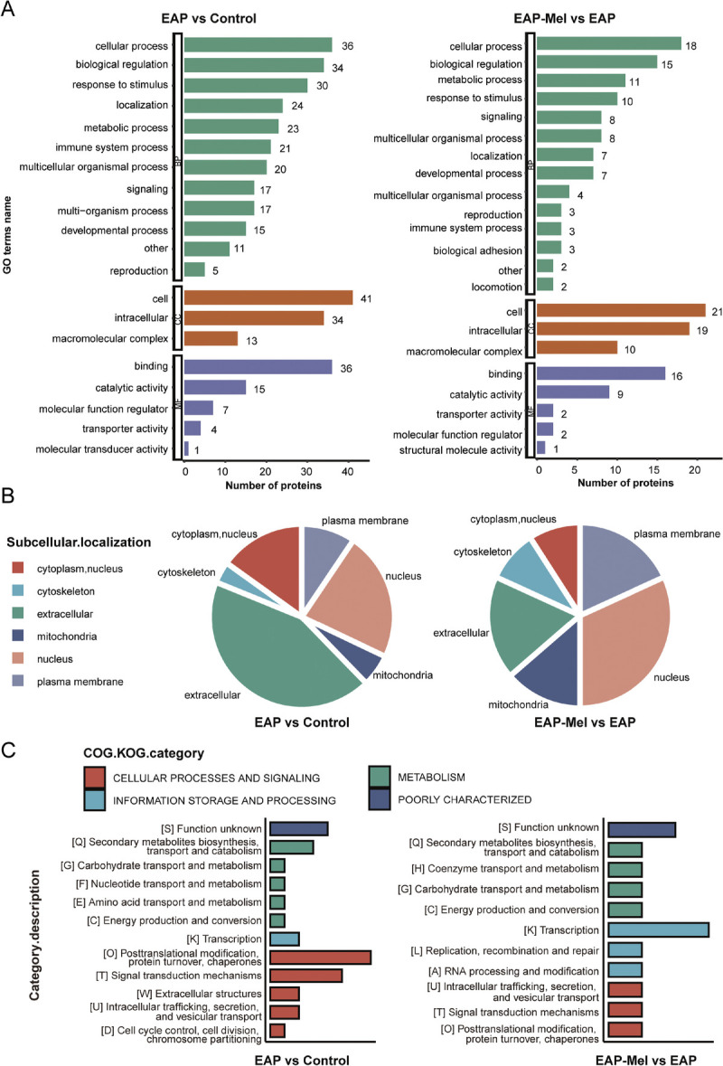 Identification of proteomic markers of chronic prostatitis/chronic pelvic pain syndrome treated with melatonin using a tandem mass tag approach.