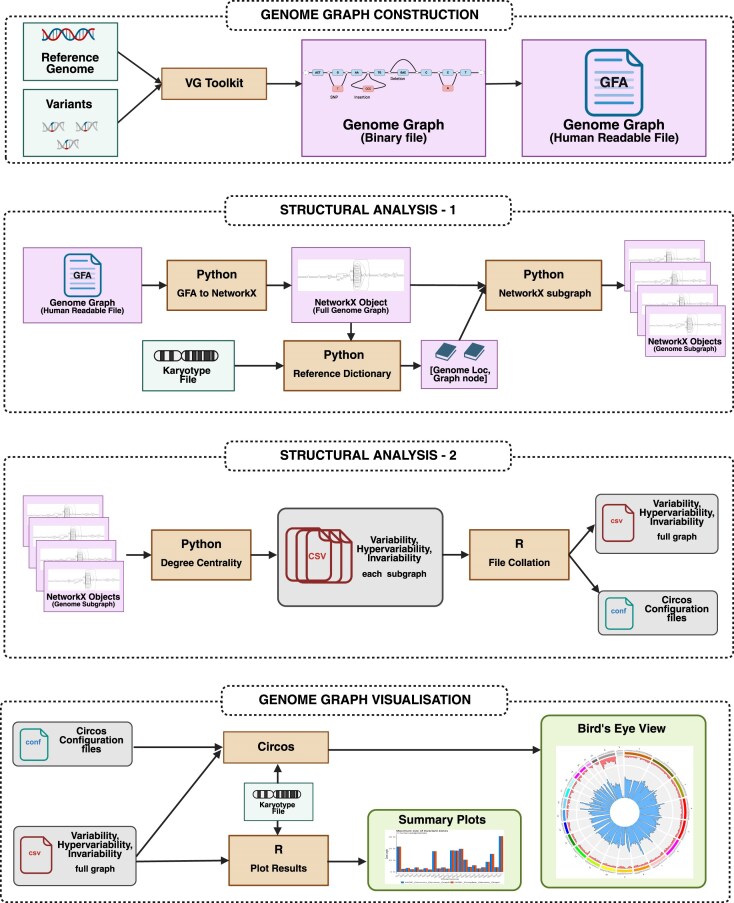 GViNC: an innovative framework for genome graph comparison reveals hidden patterns in the genetic diversity of human populations.