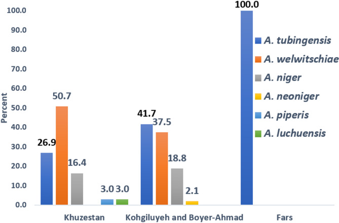 The frequency distribution of Aspergillus section Nigri from clinical and environmental samples in Iran.