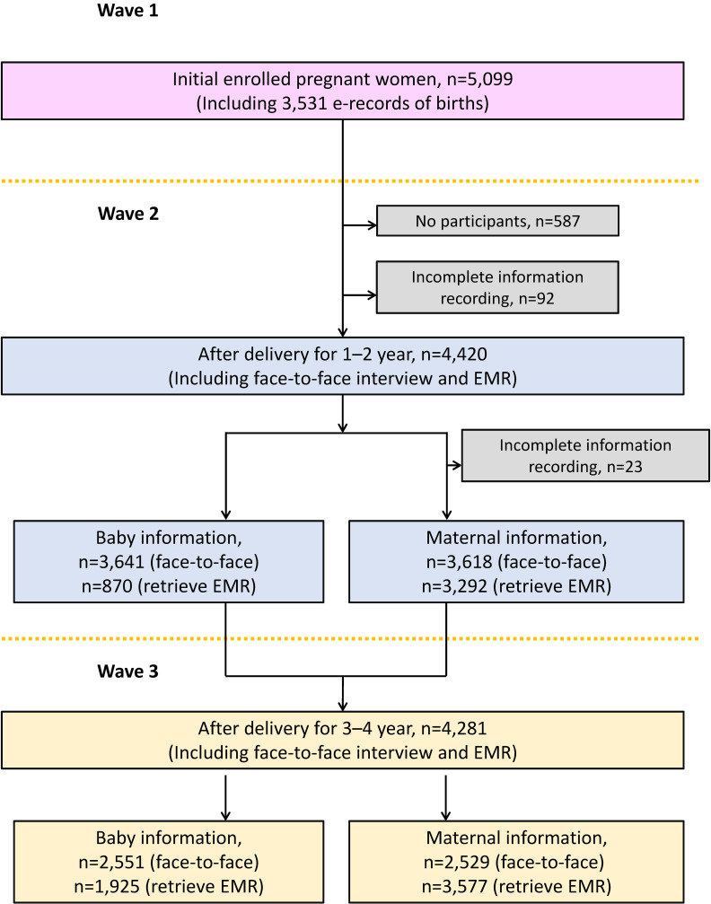 Cohort Profile: The Iodine Status in Pregnancy and Offspring Health Cohort (ISPOHC).