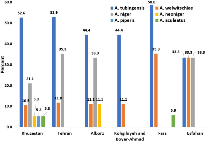The frequency distribution of Aspergillus section Nigri from clinical and environmental samples in Iran.
