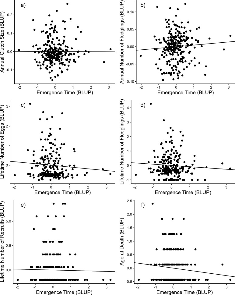 Female chronotype is not related to annual and lifetime reproductive success in a free-living songbird.