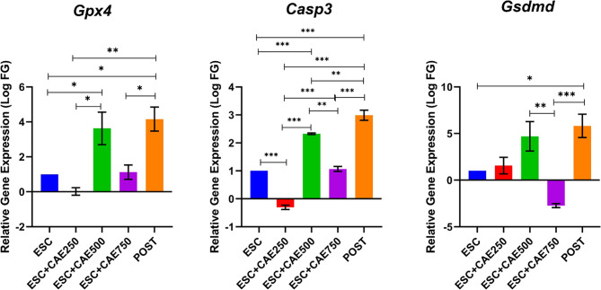 Cicer arietinum extract as antitumor and protective agent against Ehrlich Solid Carcinoma-bearing mice.