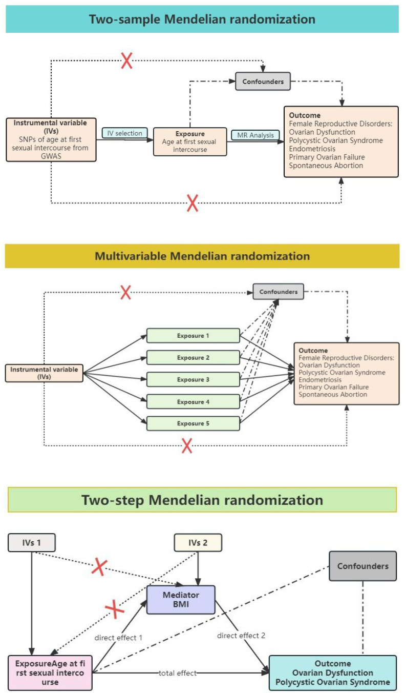 The Impact of Age at First Sexual Intercourse on Female Reproductive Disorders: A Mendelian Randomized Study.