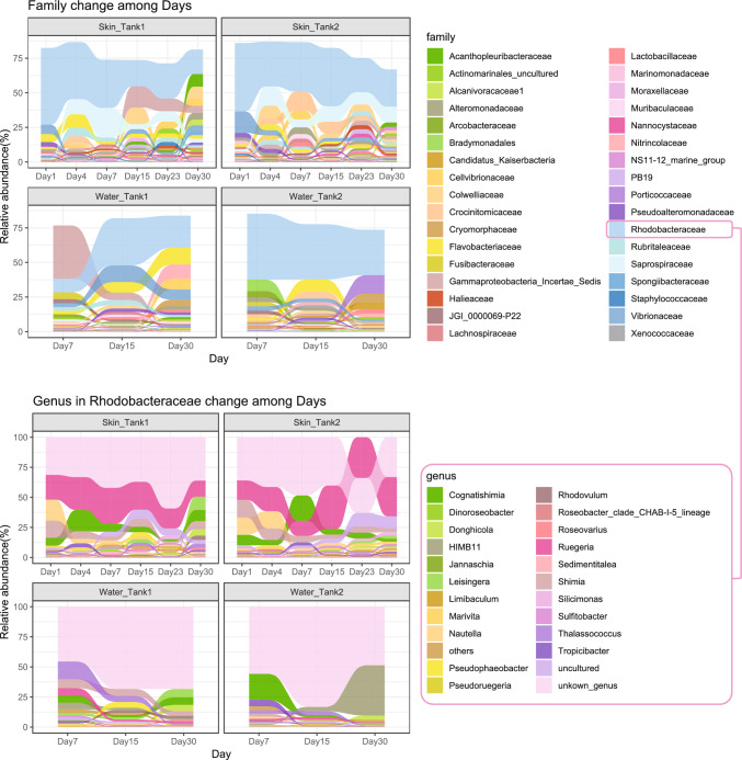 Structural Dynamics of the Skin-Associated Microbiome of the Sea Cucumber Holothuria scabra During Integument Ulceration and Recovery.