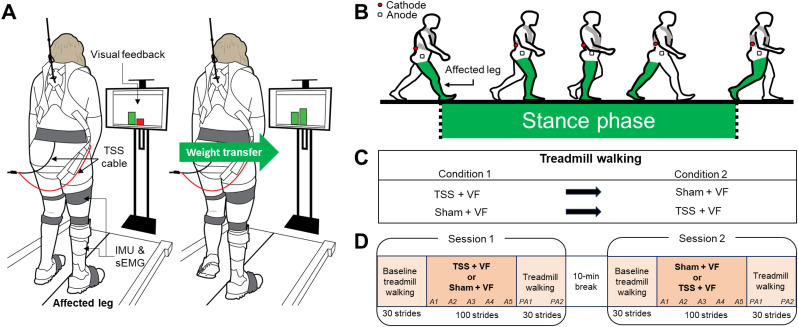 Transcutaneous spinal stimulation paired with visual feedback facilitates retention of improved weight transfer toward the affected side in people post-stroke.