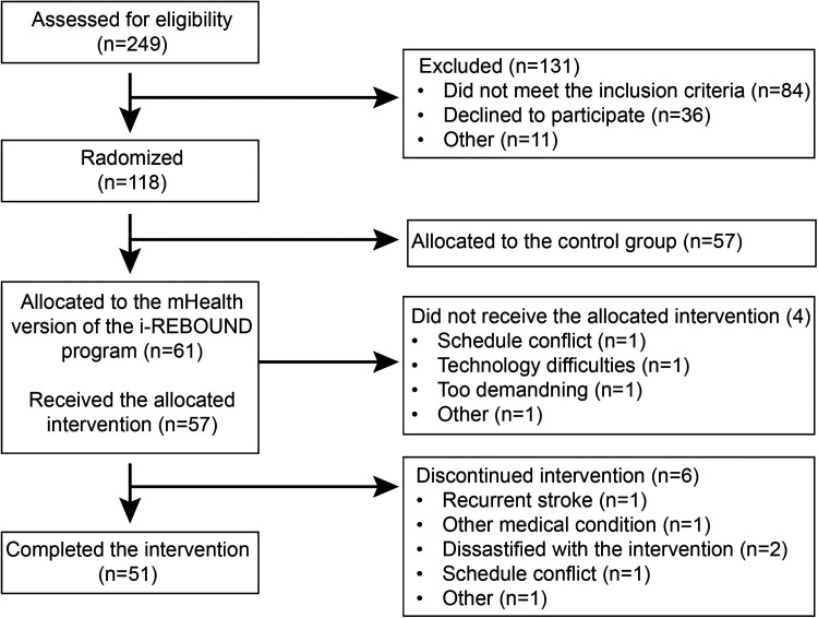 Physiotherapists' delivery of a mobile health physical activity intervention for people post-stroke and transient ischemic attack: Insights from a feasibility study.