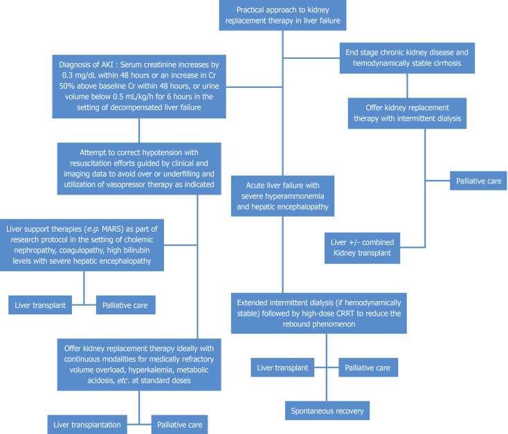 Expanding the boundaries of kidney replacement therapy in patients with liver failure.