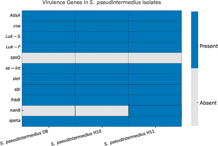 Isolation and Molecular Characterization of Three Staphylococcus pseudintermedius Strains from Dogs and Humans in Egypt.