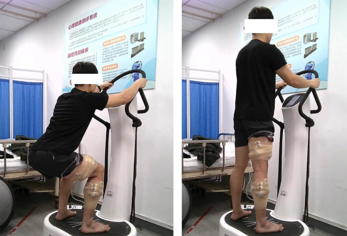 Effects of Vibration Frequency and Loading on Lower Limb Muscle Activation and Time-Varying Multi-Muscle Coactivation in Whole-Body Vibration Training among Recreational Runners.