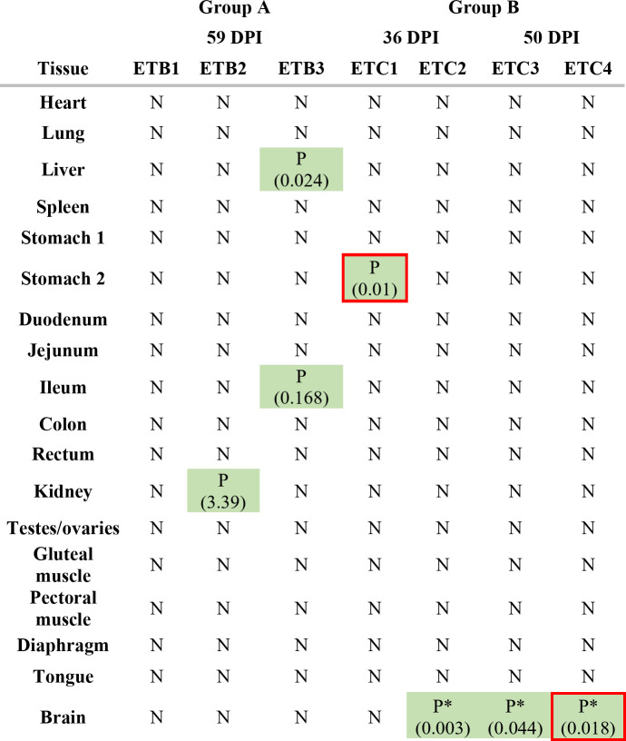 Same parasite, diverging fates: distinct responses of tenrecs to Angiostrongylus cantonensis infection.