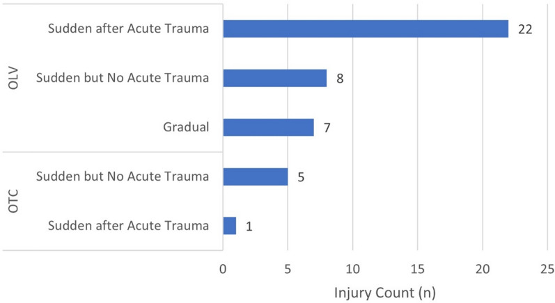 Team Korea injury and illness surveillance at the 2024 Paris Olympic Games.
