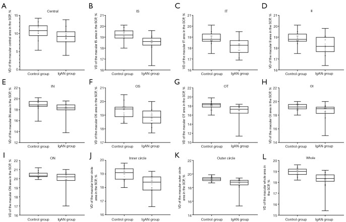 Quantitative analysis of macular and optic disc microvascular parameters in patients with immunoglobulin A nephropathy using optical coherence tomography angiography.