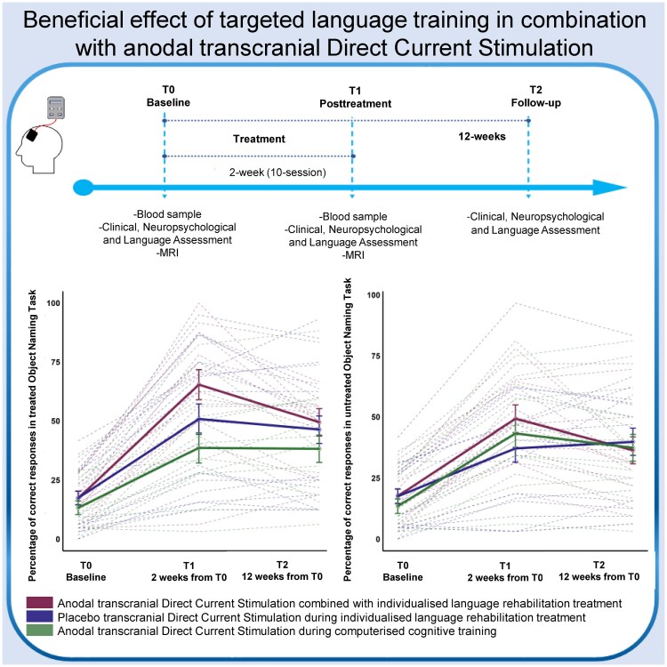 A multi-modal approach for the treatment of non-fluent/agrammatic variant of Primary Progressive Aphasia.