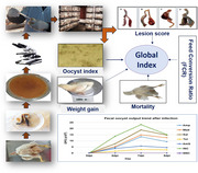 Efficacy of Routinely Used Anticoccidials Against Eimeria tenella Field Isolates in Chicken: Bangladesh Perspective.