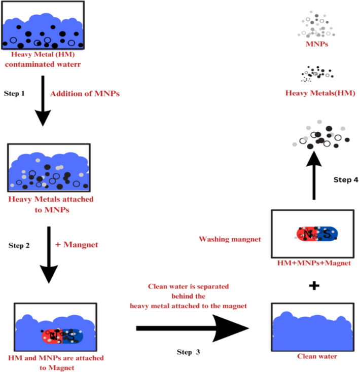 Heavy metals toxicity in plants: understanding mechanisms and developing coping strategies for remediation: a review.