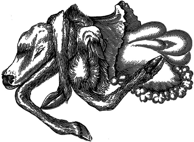 An Overview of Developmental Disorders Leading to Dystocia in Cattle.