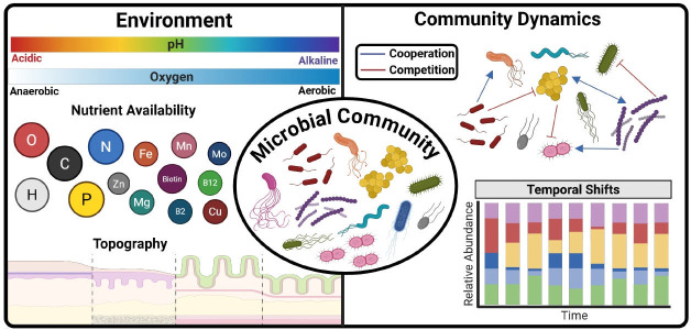 Infections as ecosystems: community metabolic interactions in microbial pathogenesis.