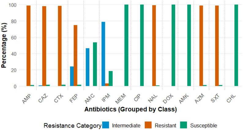 Genomic characterization of multidrug-resistant extended-spectrum β-lactamase-producing Vibrio cholerae O1 strains from 2022 cholera outbreak in Kenya.