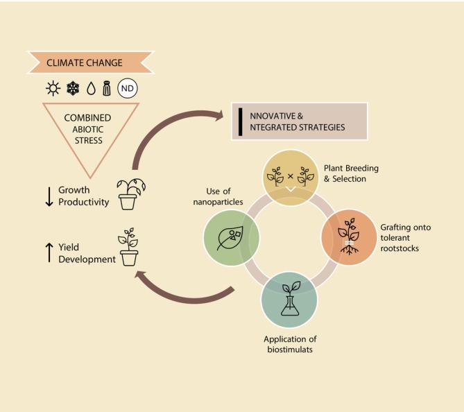 Strategies for Enhancing Resilience in Horticultural Crops Against Combined Abiotic Stresses.