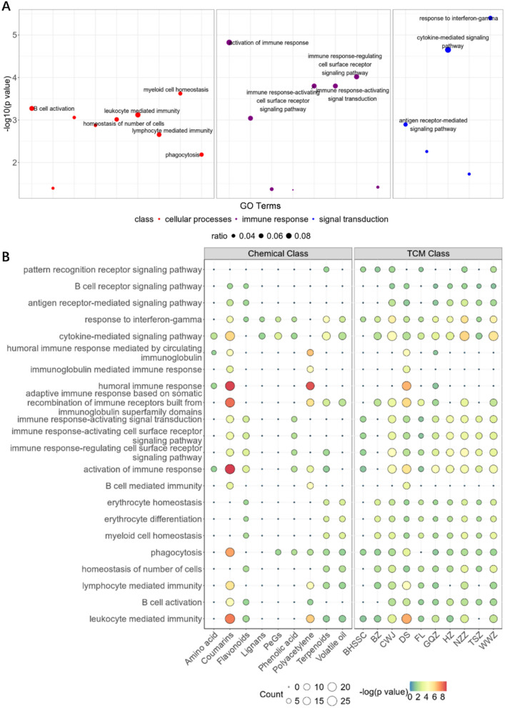 Exploring the potential bioactive compounds group and mechanism of Ci Bai Capsule in treating leukopenia: a combined approach of network pharmacology and transcriptome evidences.