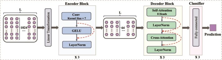 DeepPhosPPI: a deep learning framework with attention-CNN and transformer for predicting phosphorylation effects on protein-protein interactions.