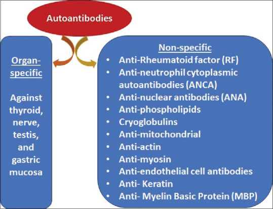 Understanding Autoimmune Response Mechanisms in Leprosy.