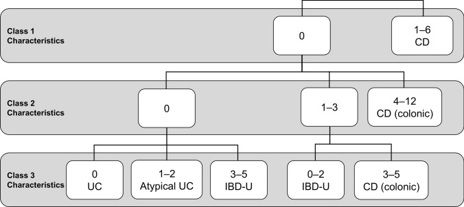 Expert consensus on diagnostic guidelines for pediatric inflammatory bowel disease in Japan.