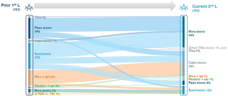 Patterns of treatment in first and subsequent lines in RCC in Spain. A real-world descriptive cross-sectional study.