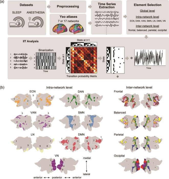 Decrease and recovery of integrated information Φ during anesthesia and sleep on human functional magnetic resonance imaging.