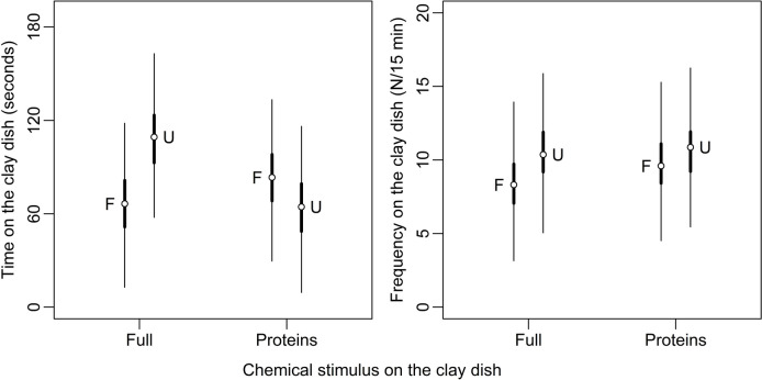 Common wall lizards learn familiar-unfamiliar identity of conspecifics through chemical cues.