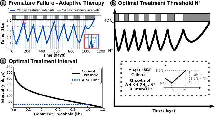 Deriving Optimal Treatment Timing for Adaptive Therapy: Matching the Model to the Tumor Dynamics.