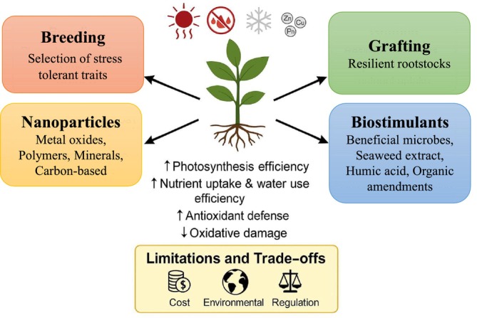 Strategies for Enhancing Resilience in Horticultural Crops Against Combined Abiotic Stresses.
